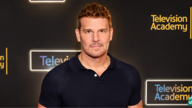 david boreanaz net worth