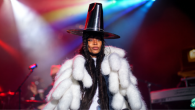 erykah badu age