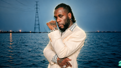burna boy net worth